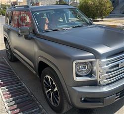 HAVAL H9